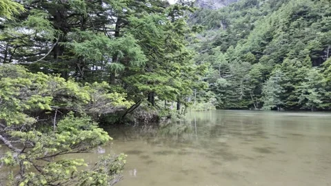 Calm Lake Surrounded by Mountains Stock Footage 331239079