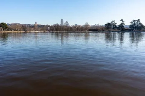 Calm lake surrounded by trees Stock Photos