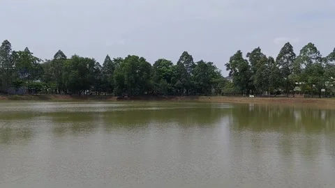 Calm lake with trees in the background Stock Footage 237212374
