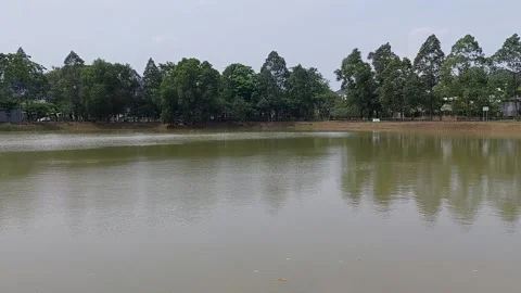 Calm lake with trees in the background Stock Footage 237212507