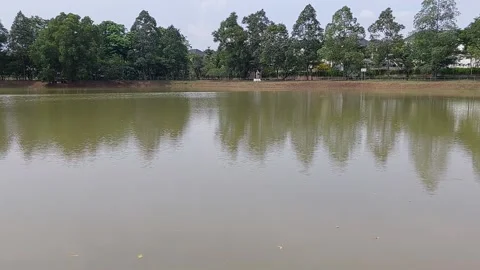 Calm lake with trees in the background Stock Footage 237212522
