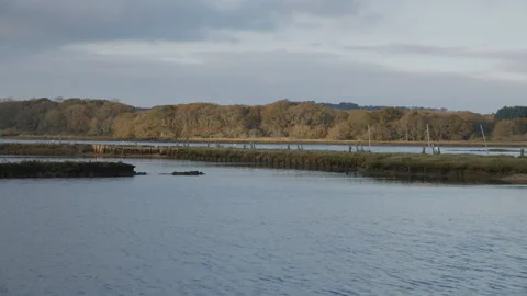 A calm lake with trees in the background Video stock 297959130
