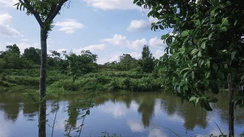 A calm lake with trees in the background Stock Photos