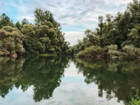 A calm lake with trees in the background Fotos de archivo