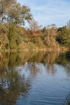 A calm lake with trees in the background Stock Photos