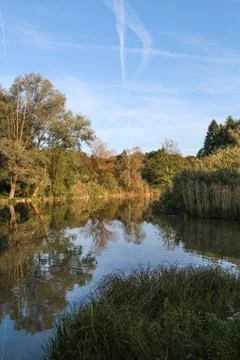A calm lake with trees in the background Stock Photos