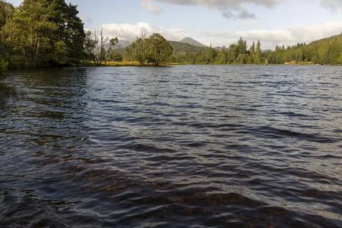 A calm lake with trees in the background Foto stock