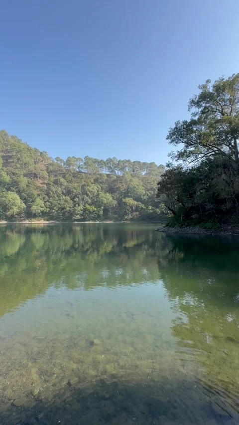 Calm lake in Uttarakhand surrounded by forest with clear water Stock Footage 332501376
