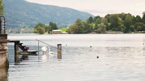 Calm lake view Stock Footage 98068269