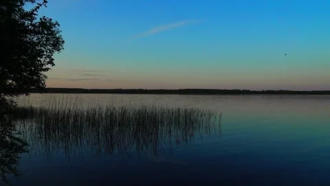 Calm lake view at sunset with calm water and trees by the shore Stock Footage 338431144