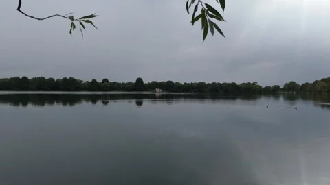 Calm Lake View Through Willow Branches Aerial Stockbeeldmateriaal 343026157