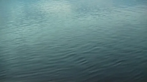 Calm Lake Water Stock Footage 78154601