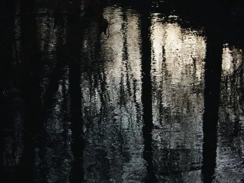 Calm lake water reflection twilight Stock Footage 83081185
