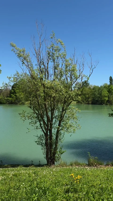 Calm Lakeside View  at Lac de Labège, Toulouse, France Vídeos de archivo 322103262