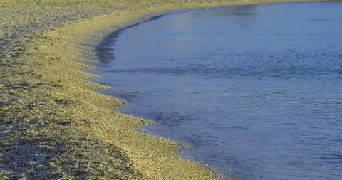 Calm lapping waves on a sand and pebble beach in the sunrise Video stock 245807937