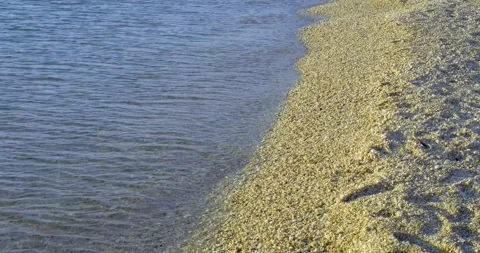 Calm lapping waves on a sand and pebble beach in the sunrise Stock-Footage 245808028