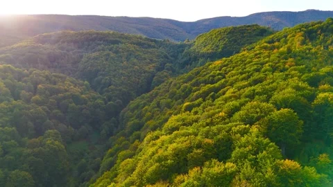 The Calm Majesty of Mountains Stock Footage 296466027