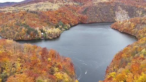 Calm mountain lake surrounded by dense forest in peak autumn colors, captured Stock Footage 328628000