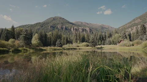 Calm mountain pond with tall grass and pines below rocky peaks Video stock 348024015