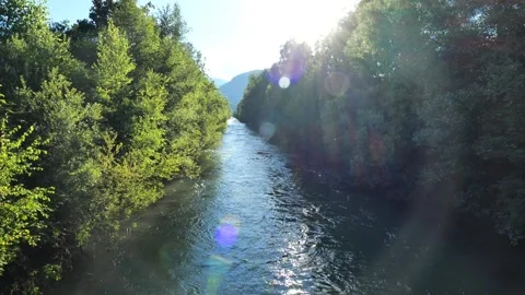 Calm mountain river flowing between the bushes in the rays of the sun Stock Footage 259581803