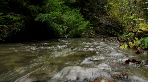 Calm mountain river Stock Footage 68807089