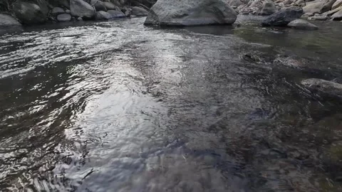 Calm Mountain River Surface with Gentle Water Flow in 4K Stock Footage 337060805