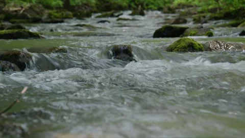 Calm mountain stream flows gently through forest Vídeos de archivo 345709845