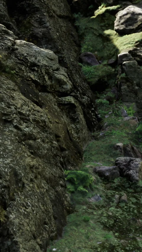 Calm natural nook surrounded by soft diffuse lighting and detailed textures Stock Footage 326350176