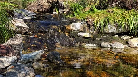 Calm natural water cascade flowing over grey beige rocks and grass Stock Footage 343734522