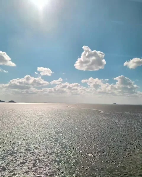 Calm Nature Background with Subtle Motion Stock Footage 325518977