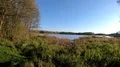 Calm nature reserve lake panning shot in sunny autumn season 4k or 4k+ Resolution