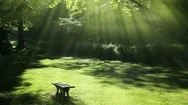 Calm Nature Scenery Background Loop Stock Footage