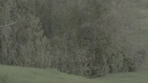 Calm nature sequence shot Stock Footage 220565097