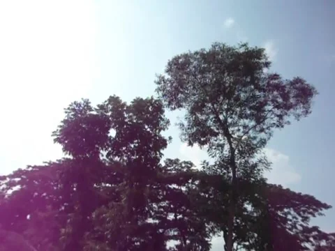 Calm Nature With Sun Ray Stock Footage 155042273