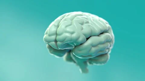Calm Neural Network Expansion: 3D Visualization of Mental and Cognitive Healt Stock Footage 294316896