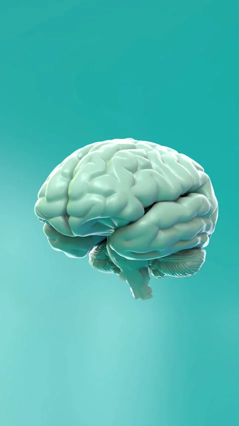 Calm Neural Network Expansion: 3D Visualization of Mental and Cognitive Healt Stock Footage 294316910