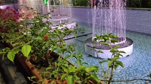 A calm night scene with fresh green plants in the foreground. Stock Footage 322980339