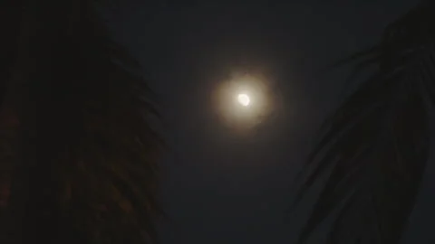 Calm nighttime setting featuring moonlight and gentle breezes by waterside Stock Footage 333187124
