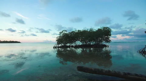 Calm Ocean  after Sunrise Stock Footage 64008148