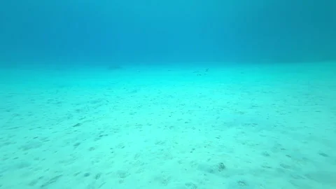 Calm ocean floor Stock Footage 317189529