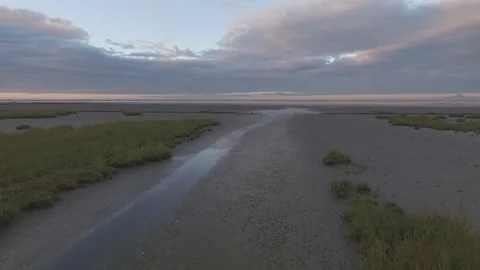 Calm Ocean  With Grass Stock Footage 219411172