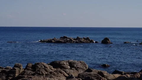 Calm ocean with rocks Stock Footage 297036087
