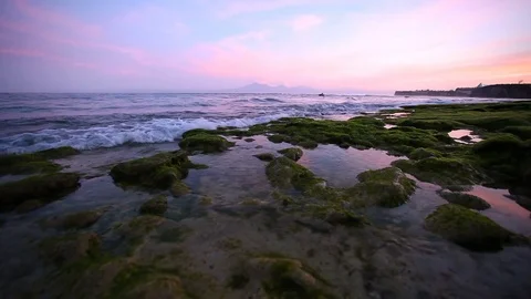 Calm ocean at sunrise, small waves wash over the rocks on the beach with Stock Footage 73611452