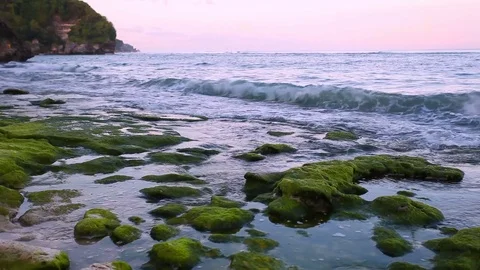 Calm ocean at sunrise, small waves wash over the rocks on the beach Stock Footage 74115999