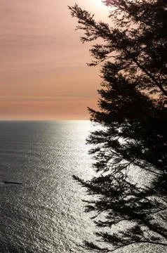 Calm ocean at sunset with tree Foto stock