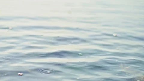Calm Ocean Surface in the Morning Light with Peaceful Atmosphere Stock Footage 296571307