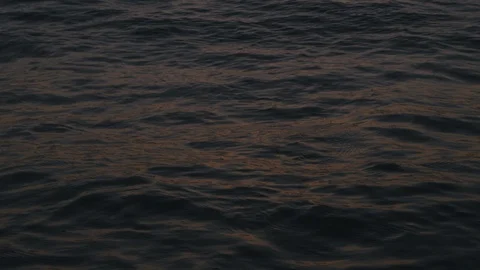 Calm ocean surface at sunset in close focus Stock Footage 117641792