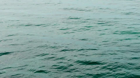 Calm ocean swells 库存影片 288013759