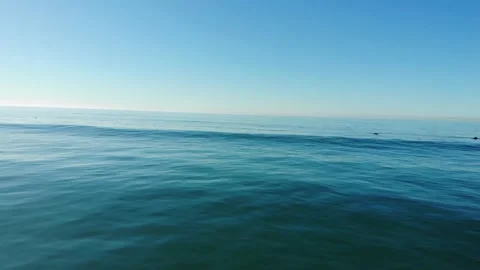 Calm ocean wave Stock Footage 166662711