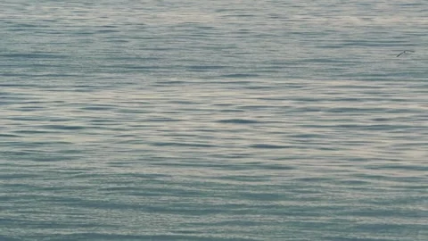 Calm ocean waves in 4k Video stock 282472686
